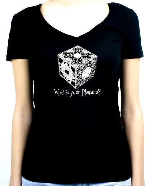 Puzzle Box What Is Your Pleasure? Women's V-Neck Shirt / Top